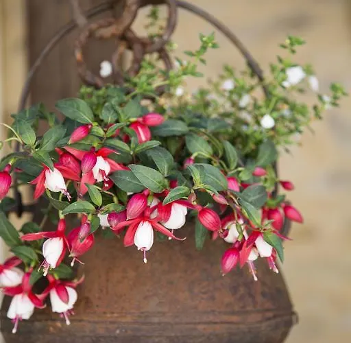 La Source Gilhodes Affittacamere