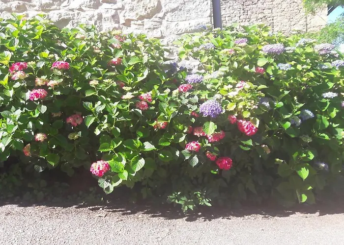 Affittacamere La Source Gilhodes