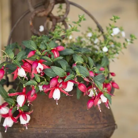 La Source Gilhodes Pensión