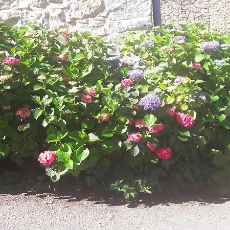 Pensión La Source Gilhodes