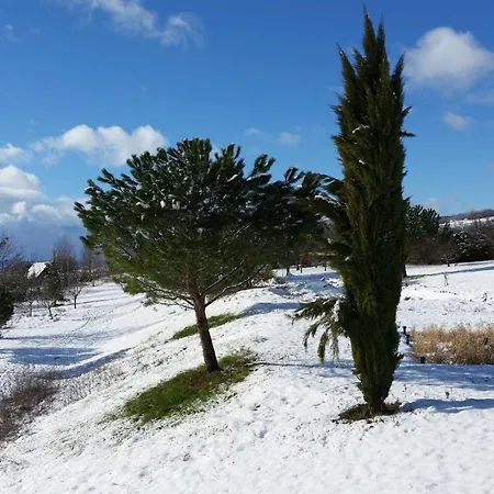 Pensión La Source Gilhodes Castelnau-de-Mandailles